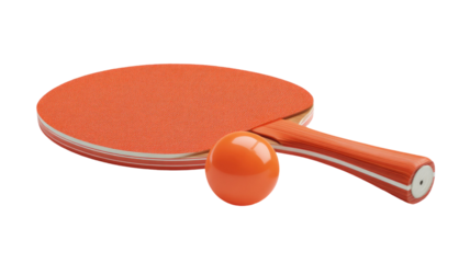 Professional ping pong racket and ball with detailed textured paddle surface and clean sports equipment arrangement isolated on white background
