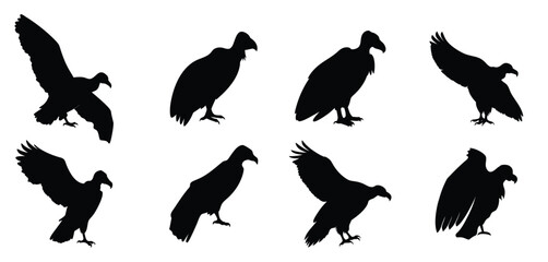 Vulture Silhouette Vector Set - Bird of Prey Clipart for Wildlife Designs