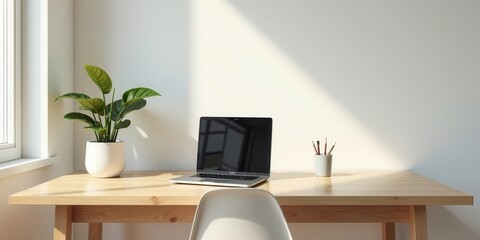 A minimalist workspace featuring a laptop computer, potted plant, and art supplies on a light wood desk bathed in sunlight