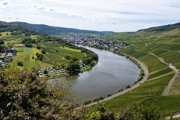 Hilly vineyards near Kr&ouml;v, view on loop of Moselle river valley, outdoor activities, hiking in Germany, travel destination near Traben-Trarbach, Germany