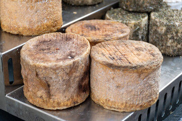 Sfizioso matured italian cheese high-quality, flavorful Italian cheese from sheeps pecora milk on weekle market in Gorgonzola, Lombardy, Italy