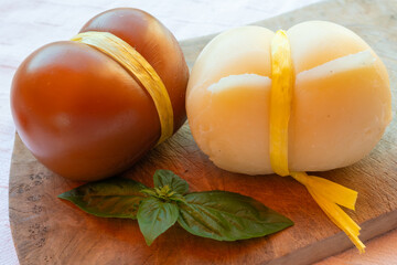 Cheese collection, white and smoked yellow italian scamorza cheese