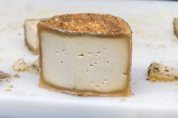 Sfizioso matured italian cheese high-quality, flavorful Italian cheese from sheeps pecora milk on weekle market in Gorgonzola, Lombardy, Italy