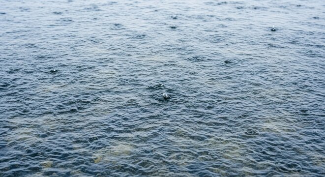 Raindrops generate countless ripples and small splashes across a dark water surface - Powered by Adobe