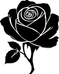 rose vector illustration