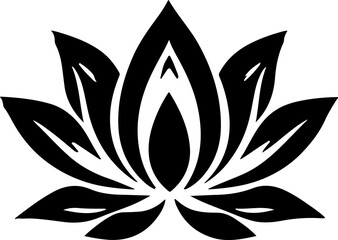 black and white lily flower