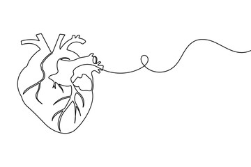 Continuous line drawing of human heart with flowing abstract line