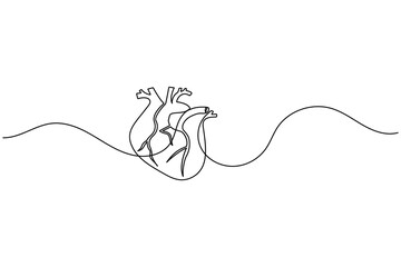 Obraz premium Continuous line drawing of human heart, medical health concept