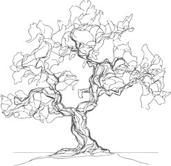 Stylized Line Art of a Bonsai Tree with Intricate Branches and Delicate Leaves Design