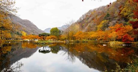 장성 백양사 도솔천 천변릐 가을 풍경