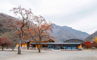 장성 백양사의 가을 단풍