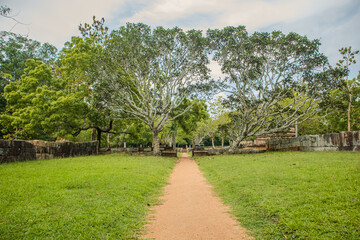 spring in the park