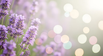 Obraz premium bouquet of roses'abstract colorful background with butterflies'camomile on a yellow background'pink tulips on green background'colorful flowers on white background'red rose with water droplets