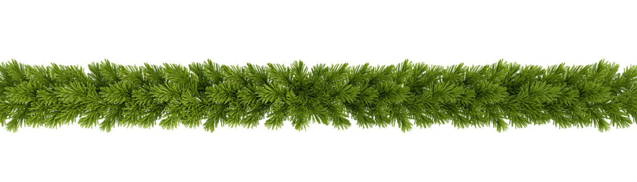 Christmas garland green pine tree branches isolated on transparent