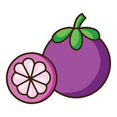 colored mangosteen icon