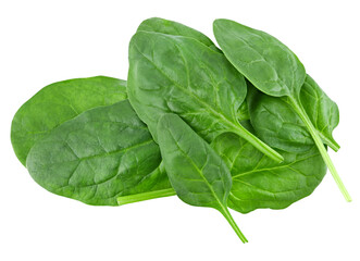 Pile fresh spinach leaves isolated on a transparent background. Full depth of field. PNG.