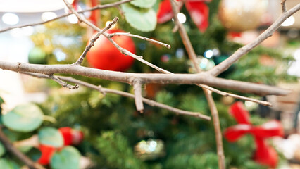 Winter branches of persimmon tree and bright Christmas tree ornaments