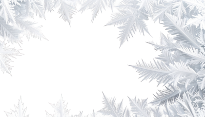 Frosty white ice crystals frame a black hole, creating a natural window effect