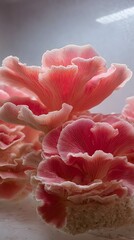 close up of a mushroom