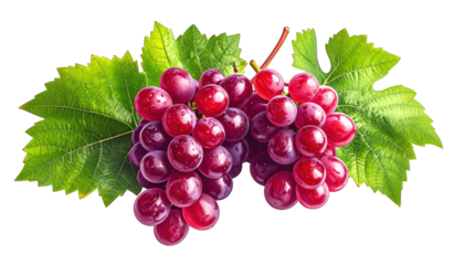 Two clusters of plump, red fruit with green leaves on a black background