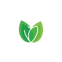 Green leaf V letter logo with a heart shape.