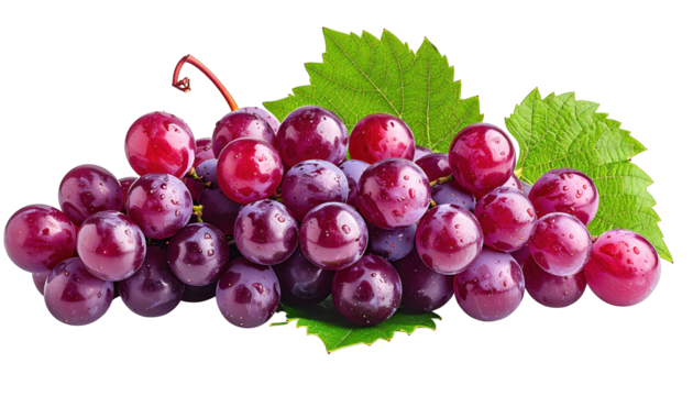 Close-up of a vibrant cluster of purple grapes, with leaves, against black backdrop