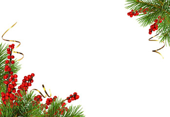 Green fir twigs of Christmas tree and Winterberry Holly (Ilex verticillata) in holiday corner...