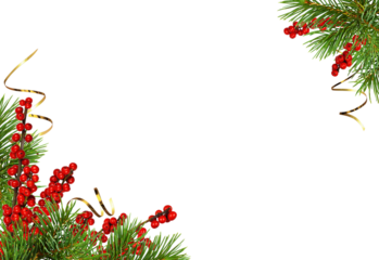 Green fir twigs of Christmas tree and Winterberry Holly (Ilex verticillata) in holiday corner arrangements isolated on white or transparent background