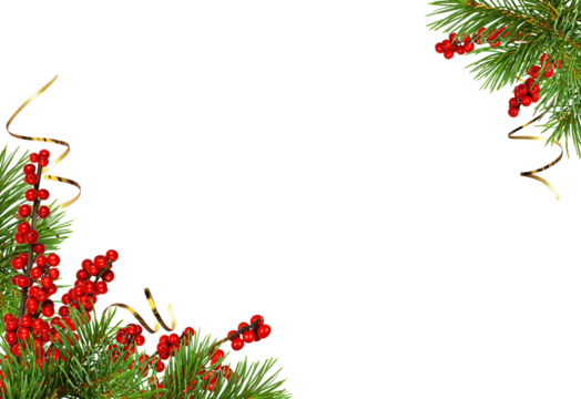 Green fir twigs of Christmas tree and Winterberry Holly (Ilex verticillata) in holiday corner arrangements isolated on white or transparent background