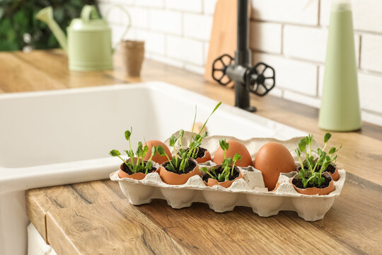 Cardboard box with seedlings on wooden counter in kitchen