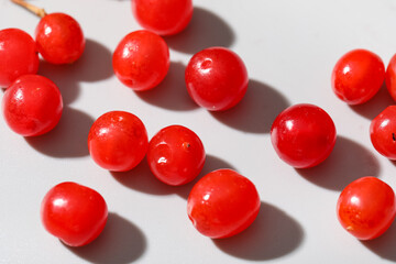 Scattered fresh viburnum berries on white background, closeup