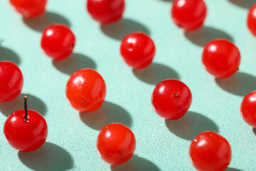 Composition with fresh viburnum berries on mint background, closeup