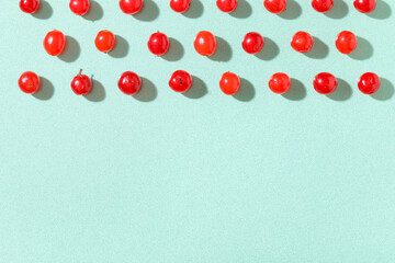 Composition with fresh viburnum berries on mint background, closeup