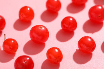 Composition with fresh viburnum berries on pink background, closeup