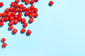 Fresh viburnum berries on blue background, closeup
