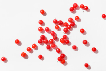 Scattered fresh viburnum berries on white background, closeup