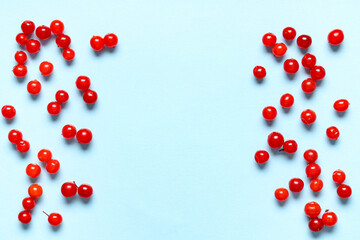 Fresh viburnum berries on blue background