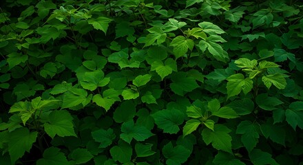 Lush green foliage forms a dense, textured backdrop, highlighting natural growth and vibrant hues