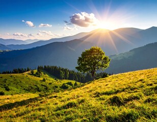 Lush green grassy hill featuring a single tree and multiple mountain ranges under a bright sun