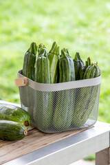Courgettes vertes fraichement cueillies posées debout dans un panier en métal. Le panier est sur une table en bois. Scène en extérieur, lumière douce.
