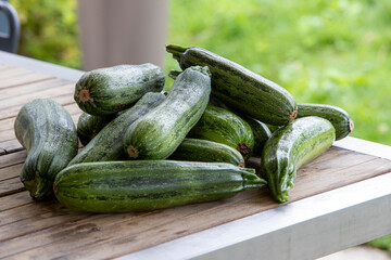 Courgettes vertes fraichement cueillies posées en vrac sur une table de jardin en bois. Scène en extérieur, lumière douce.
