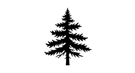 Silhouette of a pine tree with dense branches and a slender trunk.
