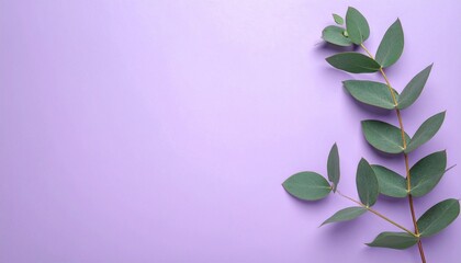 Green leaves on pastel purple background