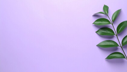 Green leaves on pastel purple background