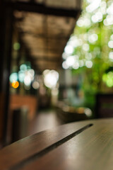 A collection of wood table background shots taken in a bright outdoor cafe, featuring lush green scenery, natural textures, and a calm cozy atmosphere ideal for design, mockups, or workspace visuals.
