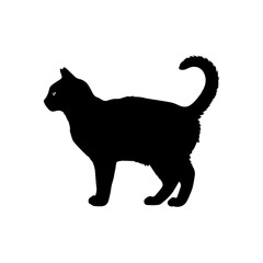 Elegant domestic feline silhouette capturing the essence of mysterious grace and form