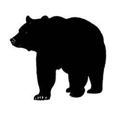 Powerful black bear standing in profile, a majestic animal symbol