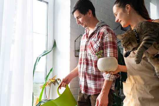 A man with a woman and a cat takes care of homemade potted plants on the windowsill, watering from a watering can