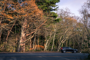 福島県_安達太良山の紅葉