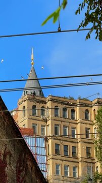 Seagulls fly over the spire of a tall, ancient building against a backdrop of blue sky.
Birds fly over the house during the day.
